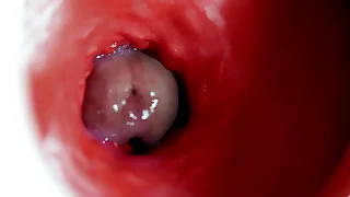 A big beautiful cock flows abundantly inside a muddy elusive aperture with an increment of smacks&excl;